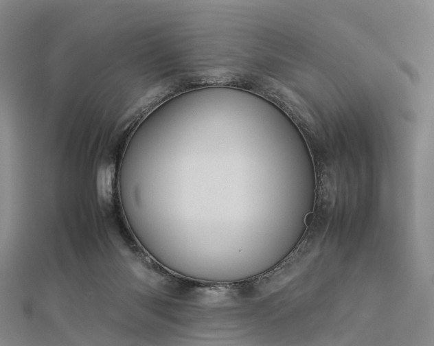 X0000113010118200909031322