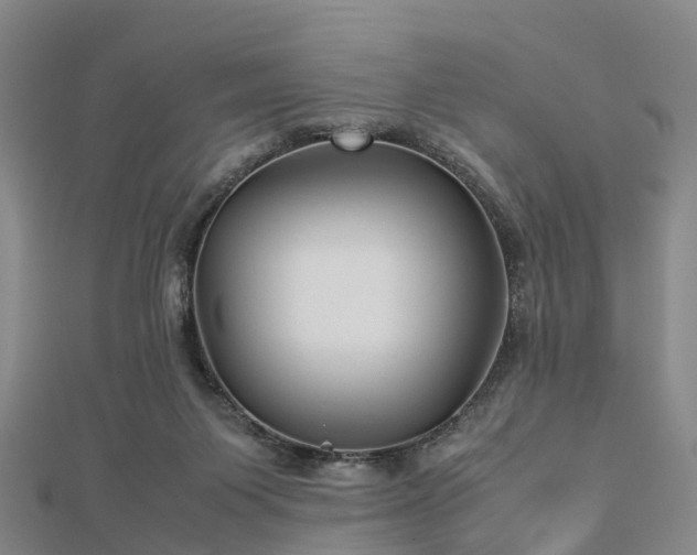 X0000113010119200909031322