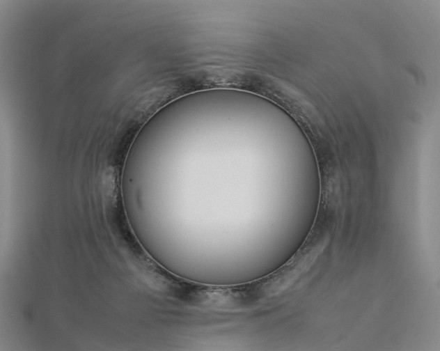 X0000113010121200909031322