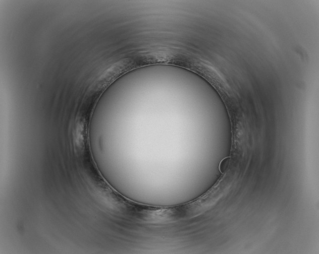 X0000113010122200909031321