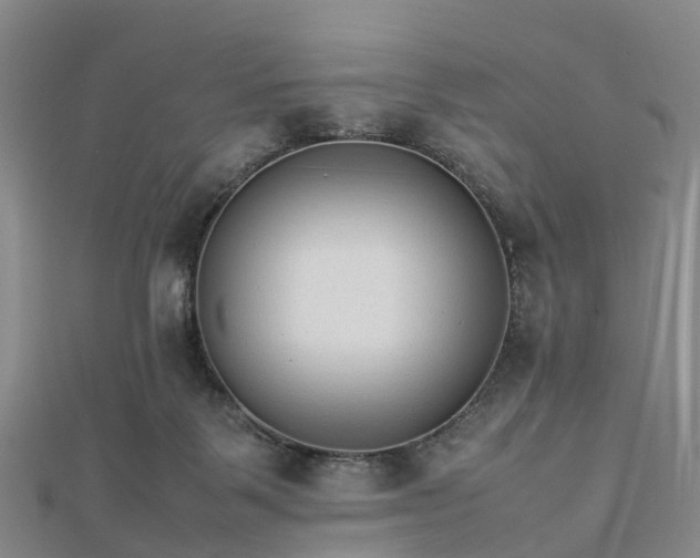 X0000113010123200909031321