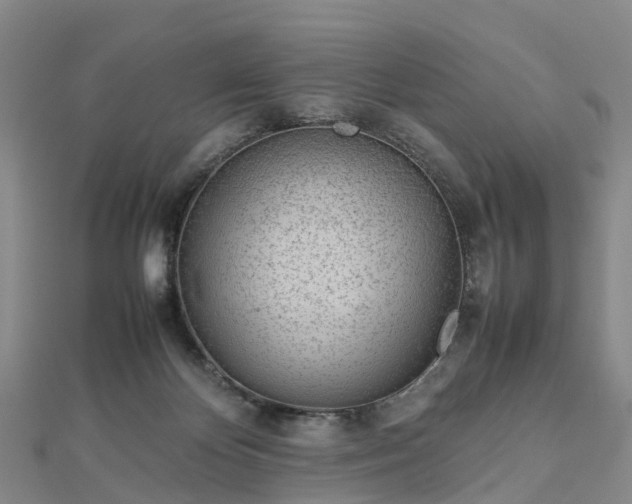 X0000113010124200909031321