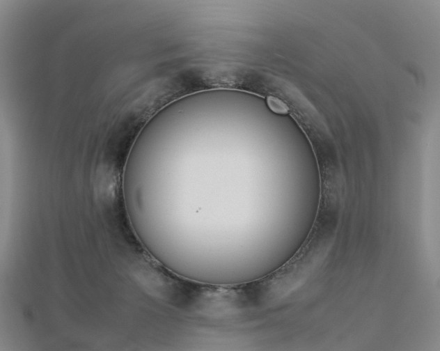 X0000113010125200909031321