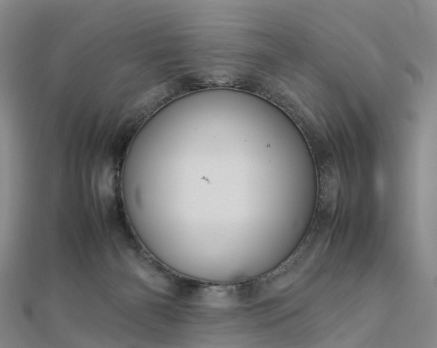 X0000113010126200909031321