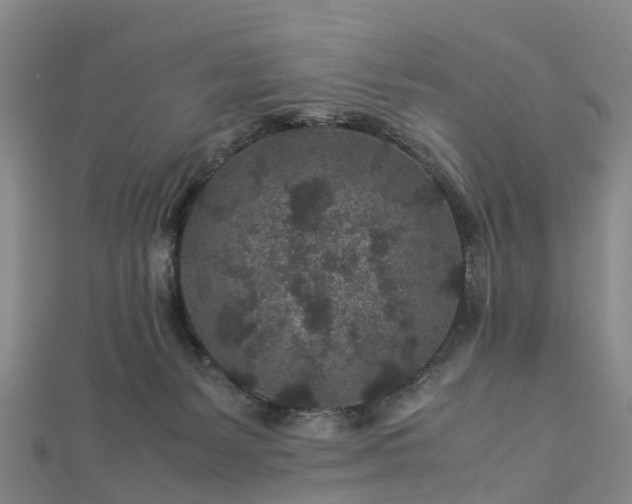 X0000113010127200909031321