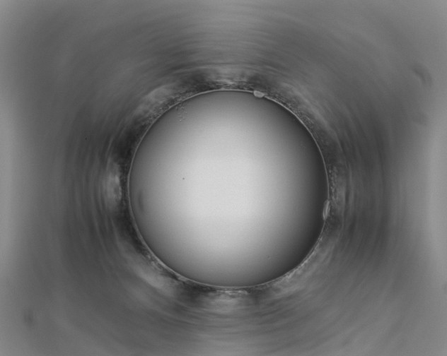 X0000113010128200909031321