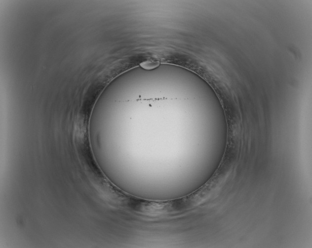 X0000113010129200909031321