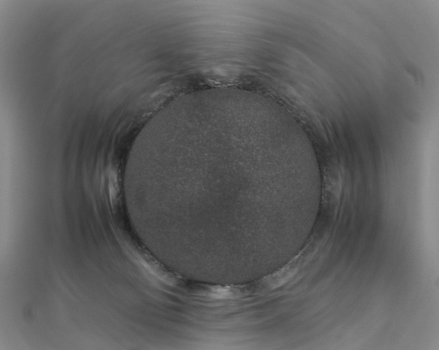 X0000113010130200909031321