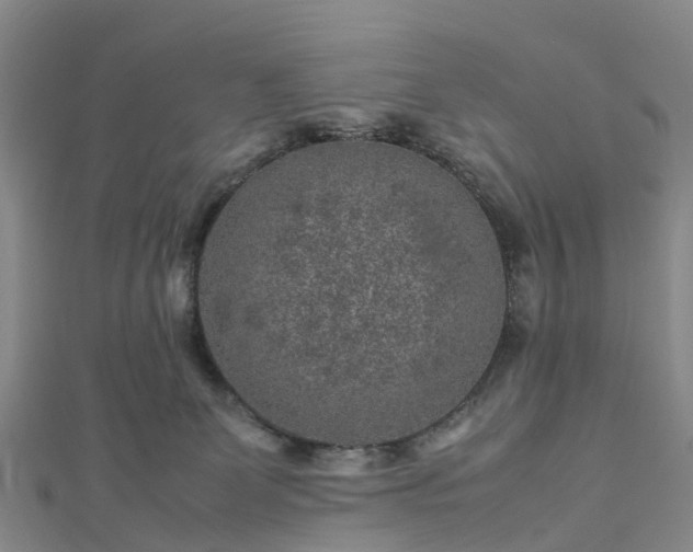 X0000113010131200909031321