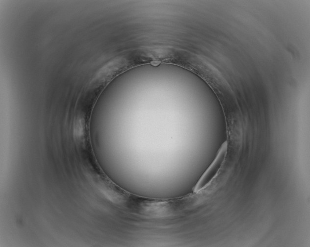 X0000113010132200909031321