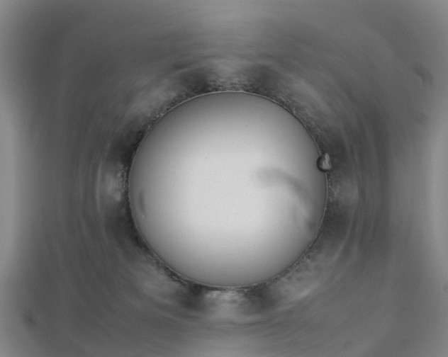 X0000113010133200909031321