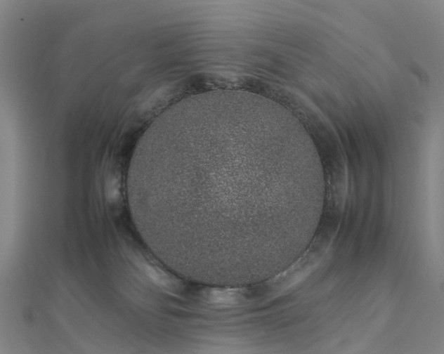 X0000113010134200909031321