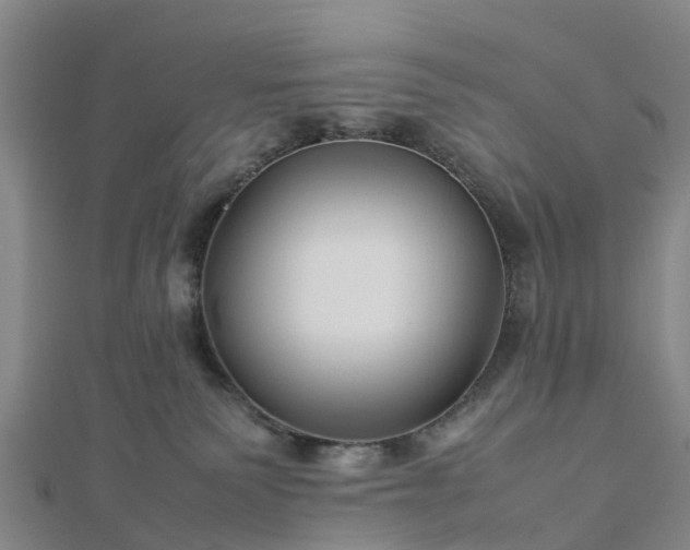 X0000113010135200909031321