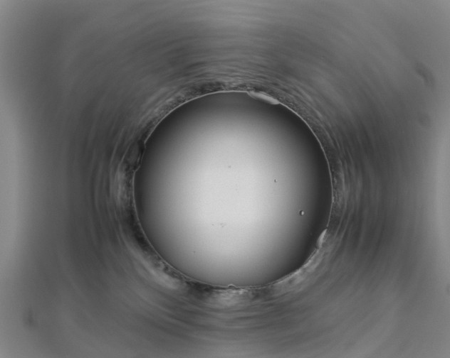 X0000113010136200909031321