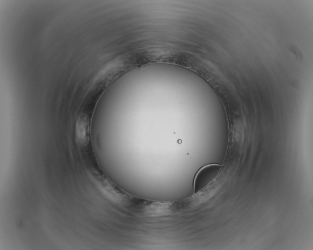 X0000113010138200909031321