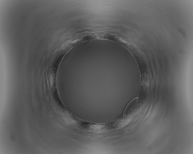 X0000113010139200909031321