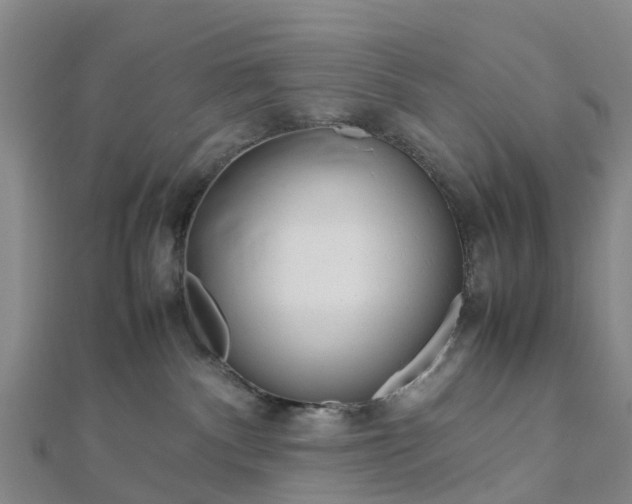 X0000113010140200909031321