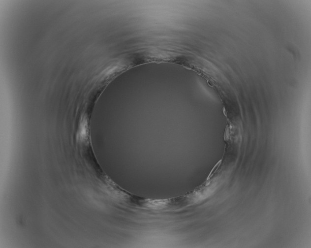 X0000113010143200909031321