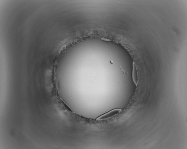 X0000113010144200909031321