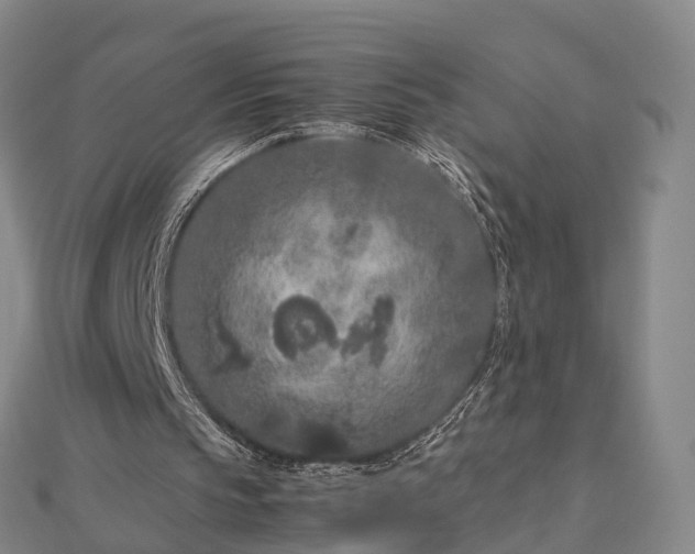 X0000113010145200909031321