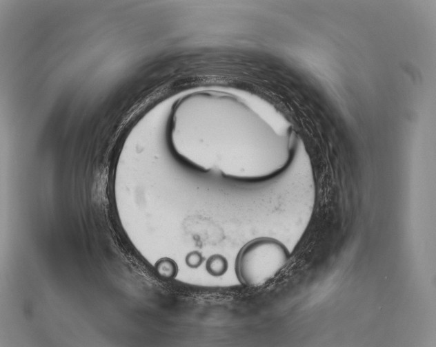 X0000113010146200909031321