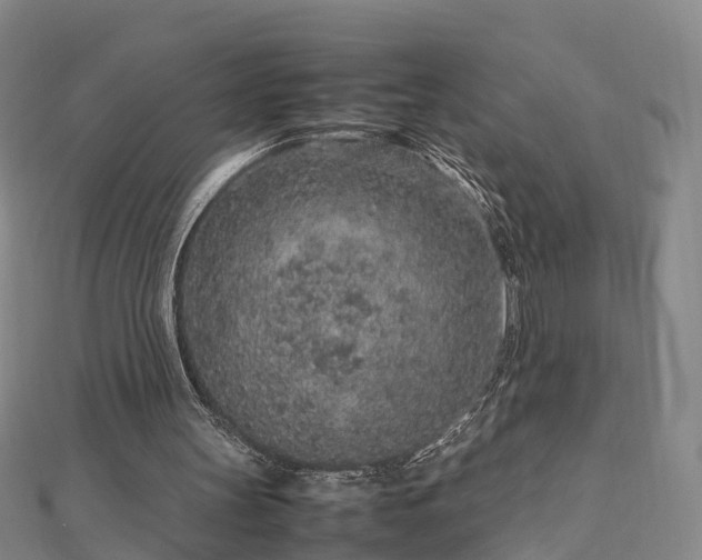 X0000113010147200909031321