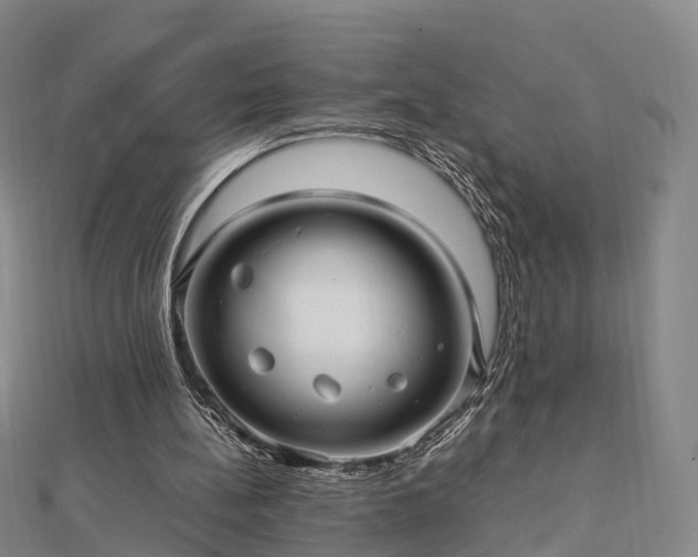 X0000113010148200909031321