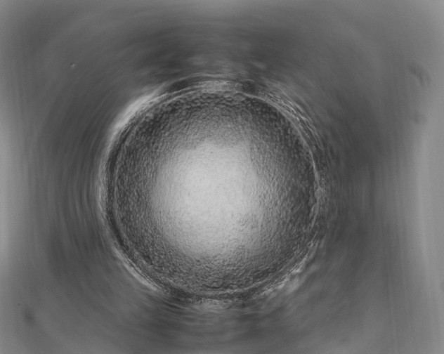 X0000113010149200909031321