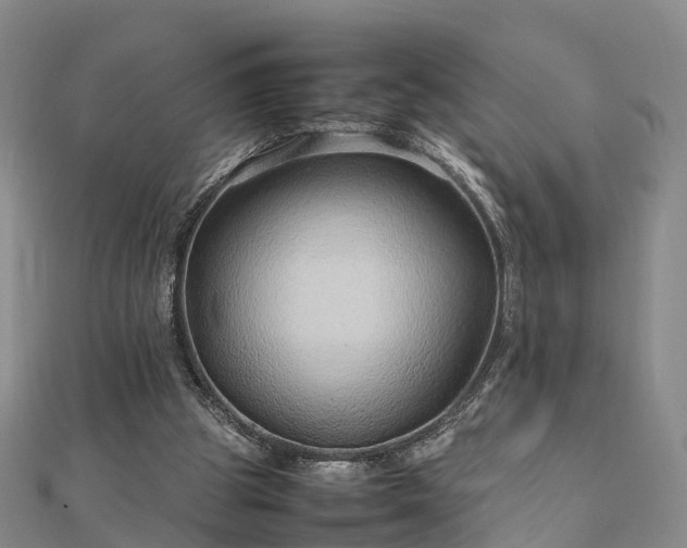 X0000113010153200909031321