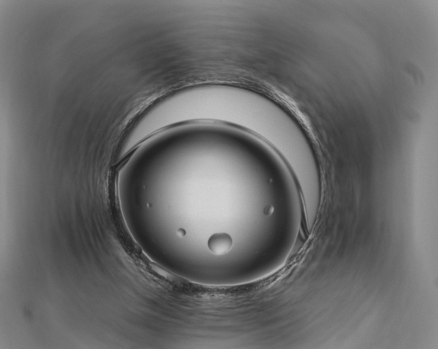 X0000113010154200909031321