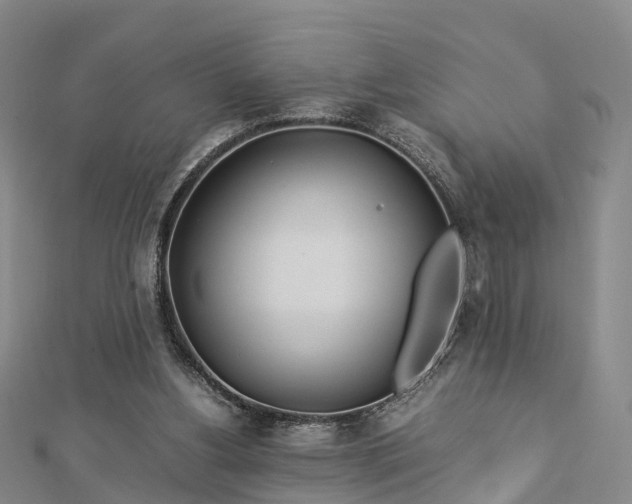 X0000113010156200909031321