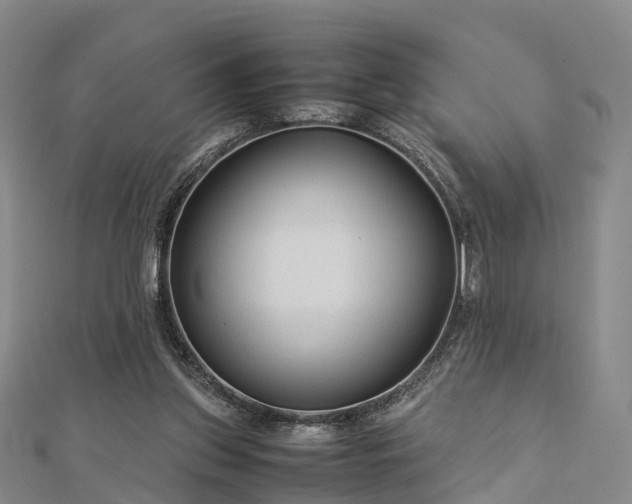 X0000113010157200909031321