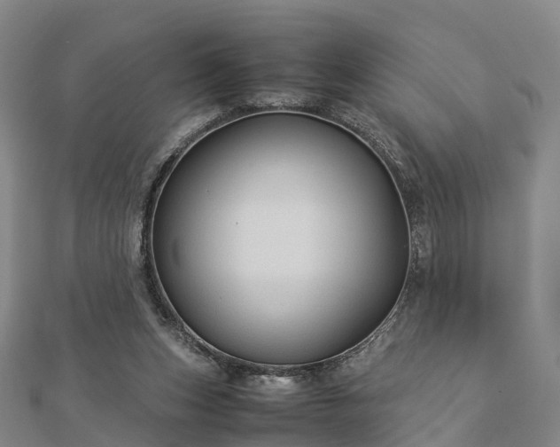 X0000113010159200909031321