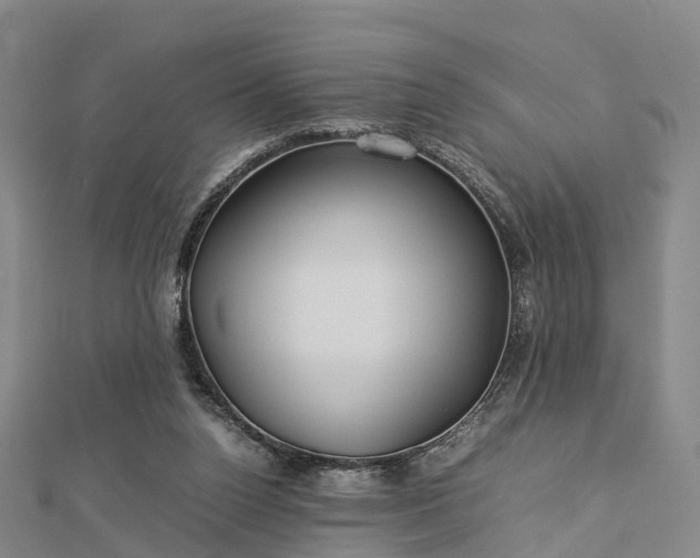 X0000113010160200909031321