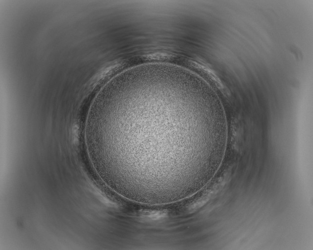 X0000113010161200909031321