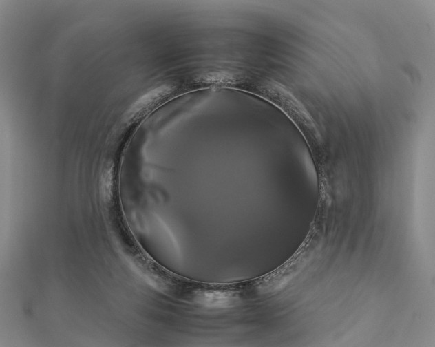 X0000113010163200909031321