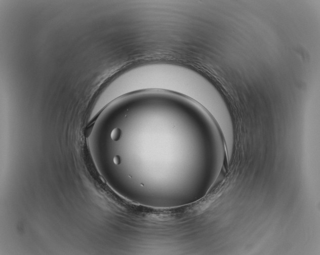 X0000113010164200909031321