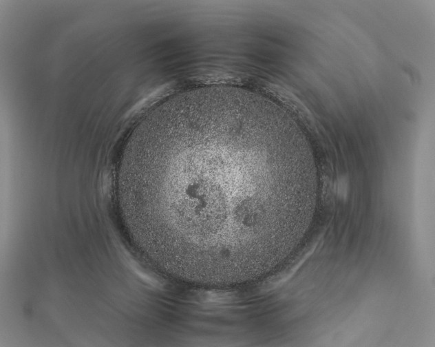 X0000113010165200909031321