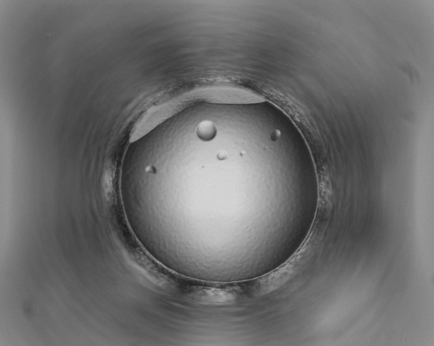 X0000113010166200909031321