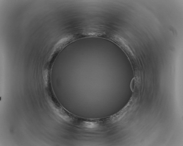 X0000113010167200909031321