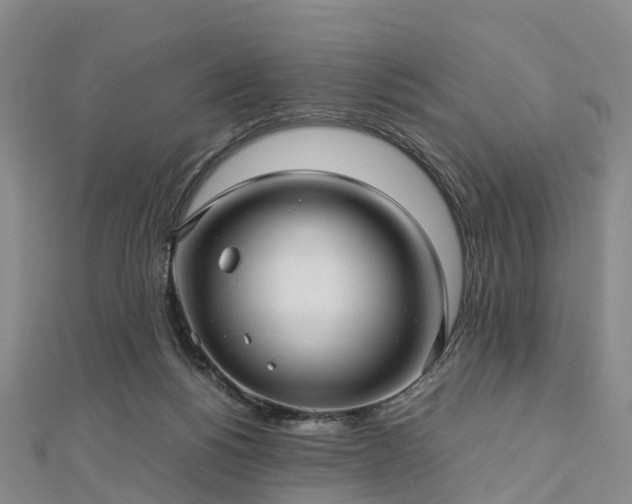 X0000113010168200909031321