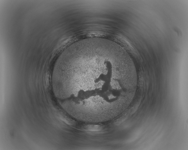 X0000113010169200909031321