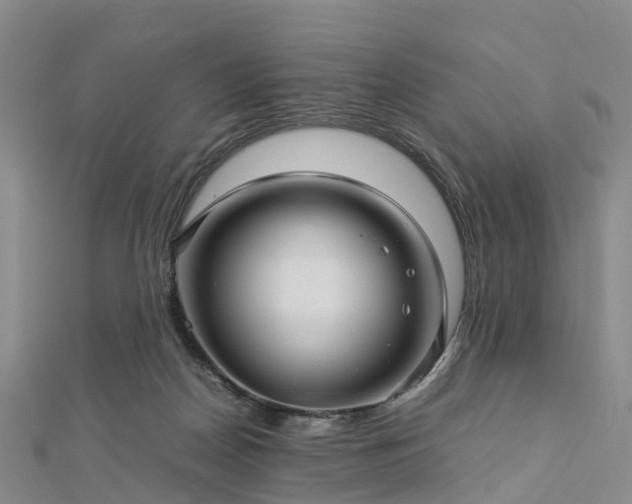 X0000113010170200909031321