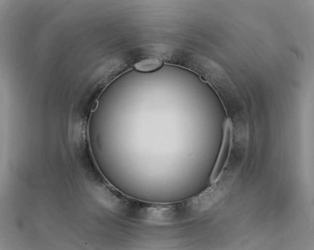 X0000113010172200909031321