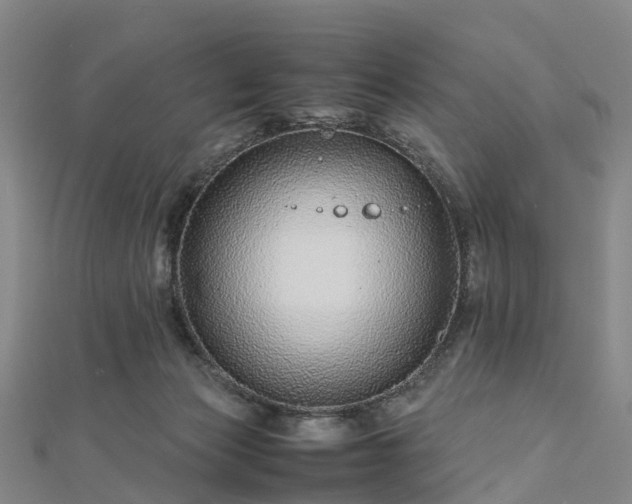 X0000113010173200909031321