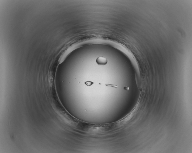 X0000113010174200909031321