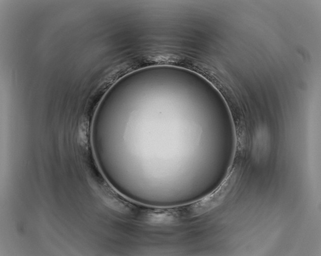 X0000113010175200909031321