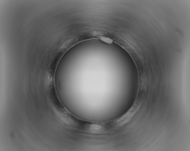 X0000113010176200909031321