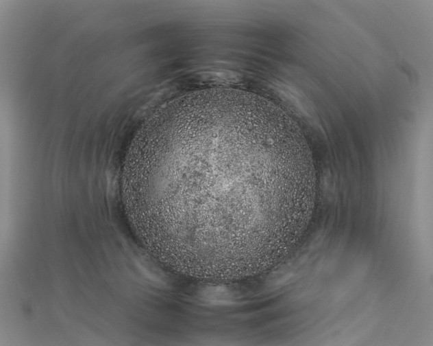 X0000113010177200909031321