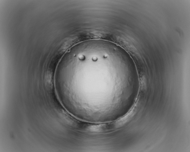 X0000113010178200909031321